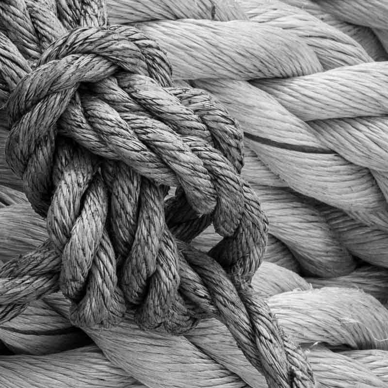 Knute p&aring; tr&aring;den | Veggbilder | Fotokunst til salgs | Kunstfoto | Kunst | Foto | Bilde