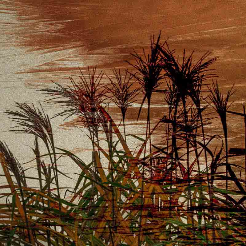 R&oslash;d storm | Veggbilder | Fotokunst til salgs | Kunstfoto | Kunst | Foto | Bilde