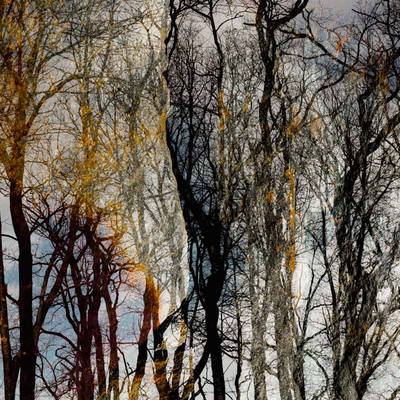 Bl&aring; h&oslash;st | Veggbilder | Fotokunst til salgs | Kunstfoto | Kunst | Foto | Bilde